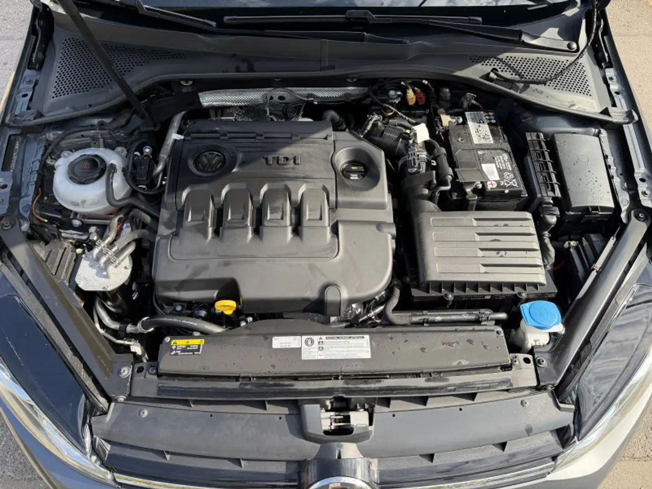 Volkswagen Golf Standard Model — photo 18