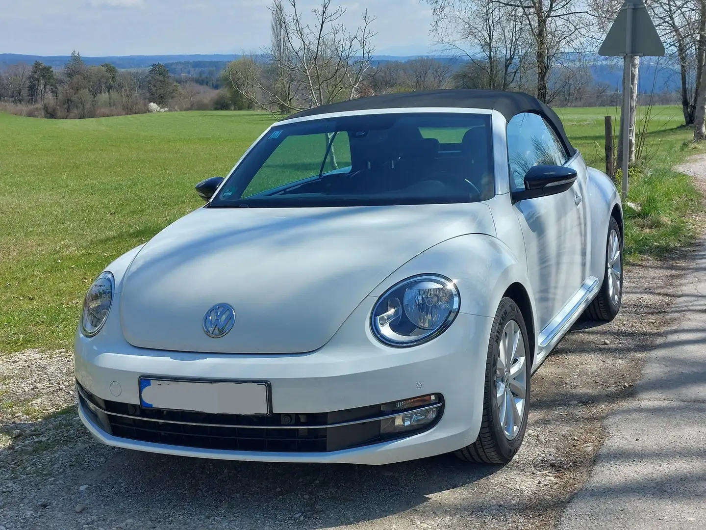 Volkswagen Beetle Club - 1