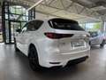 Mazda CX-60 3.3L e-SKYACTIV D 254ps AWD Homura Plus Weiß - thumbnail 6