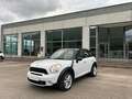 MINI Cooper SD Countryman Mini Countryman R60 2.0 all4 Bianco - thumbnail 2