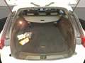 Opel Insignia B ST 2.0 Business AHK Alb - thumbnail 18