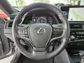 Lexus ES 300 h Business Line Leder Schiebedach Navi ele Silber - thumbnail 11