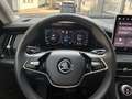 Skoda Kodiaq 2.0 TDI DSG 4x4 Selection Negru - thumbnail 11