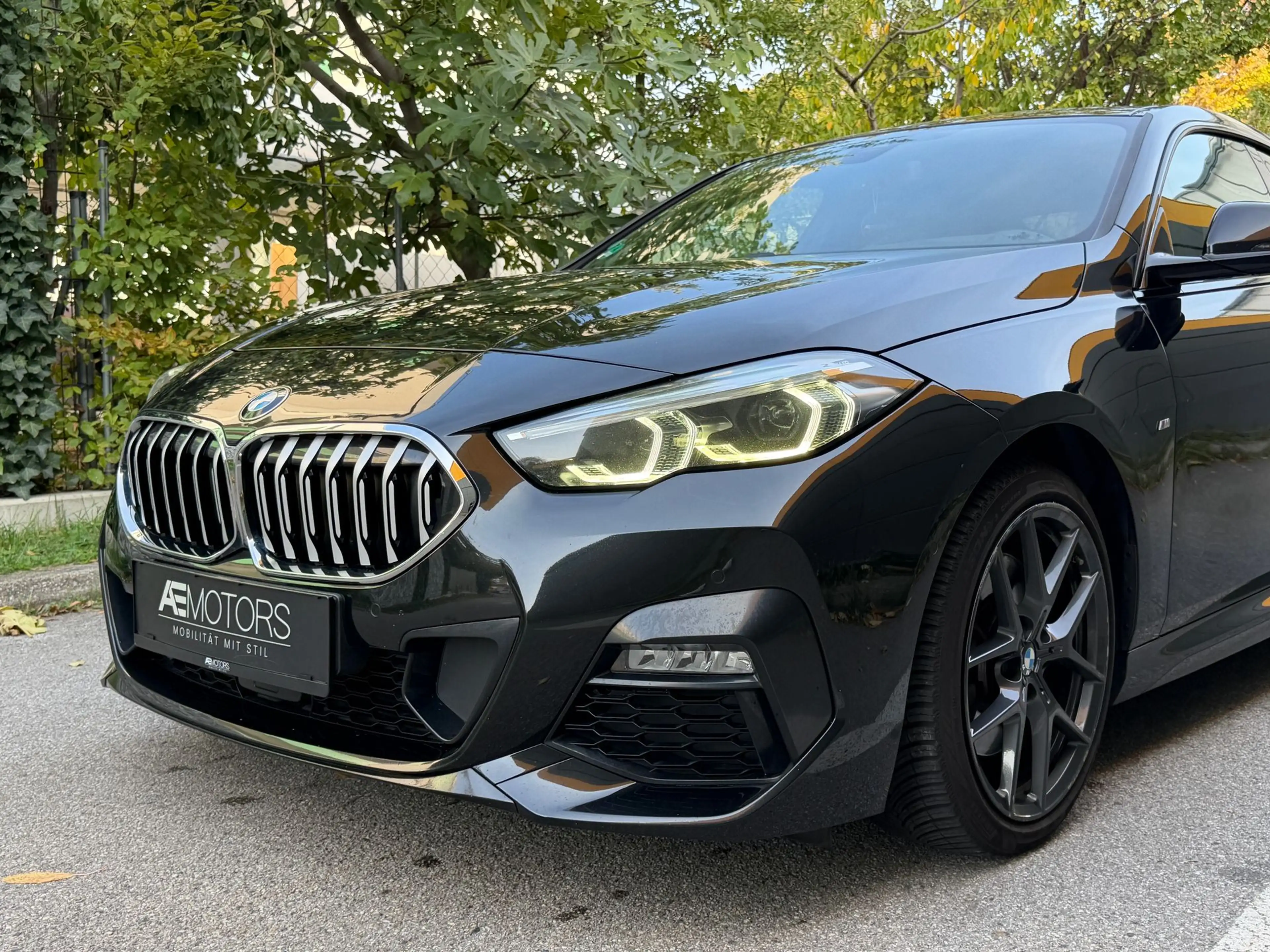 BMW 220 //M-PKAET///KREDIT-GARANTIE//ACC//HEAD-UP// — photo 8