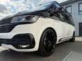 Volkswagen T6 California T6.1 Califor. BULLI LAST EDITION BLACK&WHITE Weiß - thumbnail 9