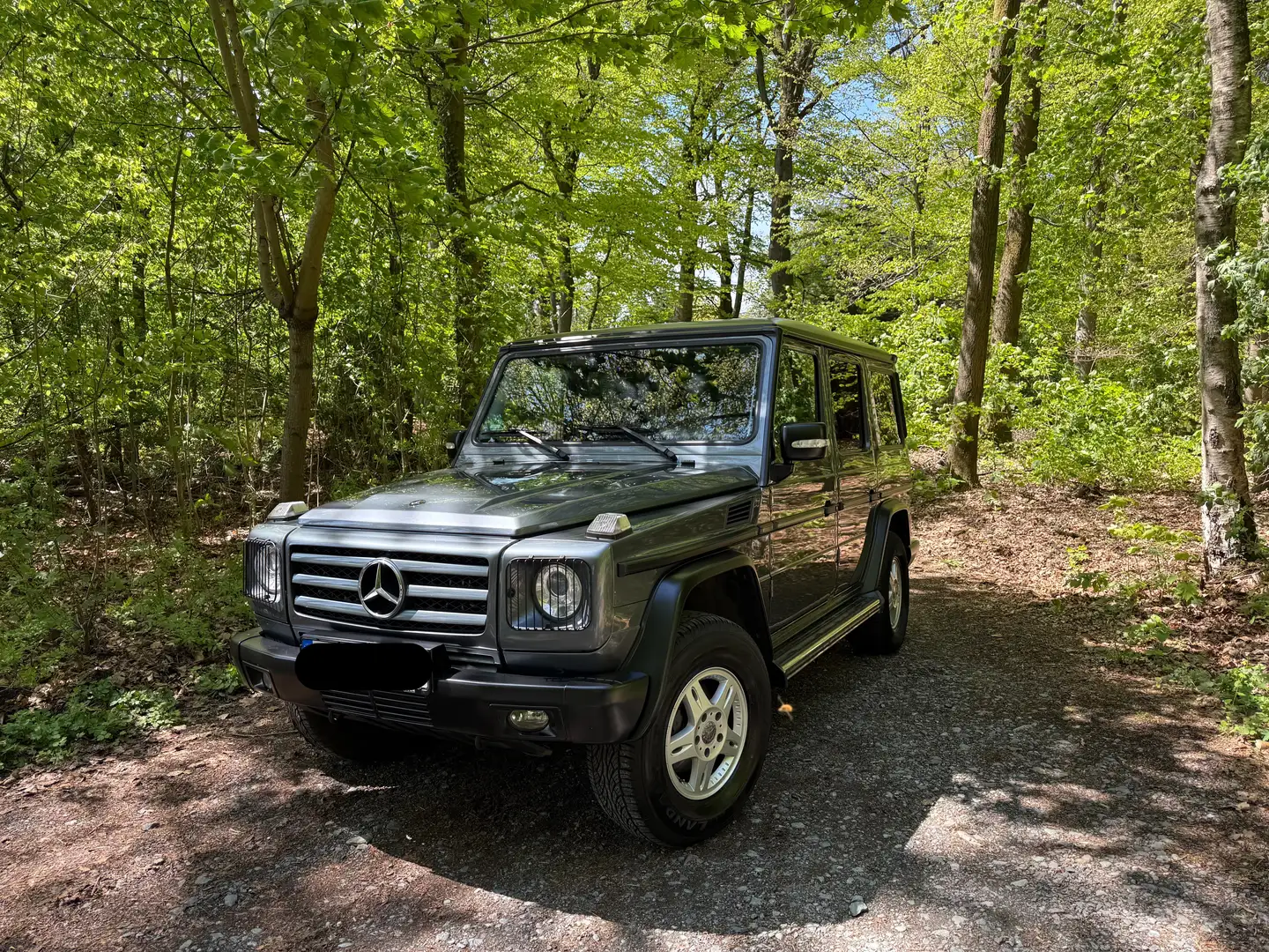 Mercedes-Benz G 350 CDI Lang Grau - 1