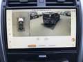 Land Rover Discovery D250 Dynamic SE 7-Sitze AHK Luft 360 Bronze - thumbnail 13