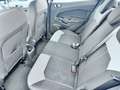 Ford EcoSport EcoSport 2014 1.5 tdci Titanium 95cv E6 Grigio - thumbnail 9