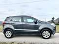 Ford EcoSport EcoSport 2014 1.5 tdci Titanium 95cv E6 Grigio - thumbnail 3