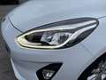 Ford Fiesta 1.1 BENZ Titanium 85cv OK NEOPATENTATI Zwart - thumbnail 31