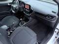 Ford Fiesta 1.1 BENZ Titanium 85cv OK NEOPATENTATI Zwart - thumbnail 22