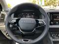 Skoda Karoq Tour 1.5 TSI DSG AHZV Matrix Kamera Grau - thumbnail 15
