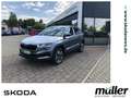 Skoda Karoq Tour 1.5 TSI DSG AHZV Matrix-LED Kamera Grau - thumbnail 1