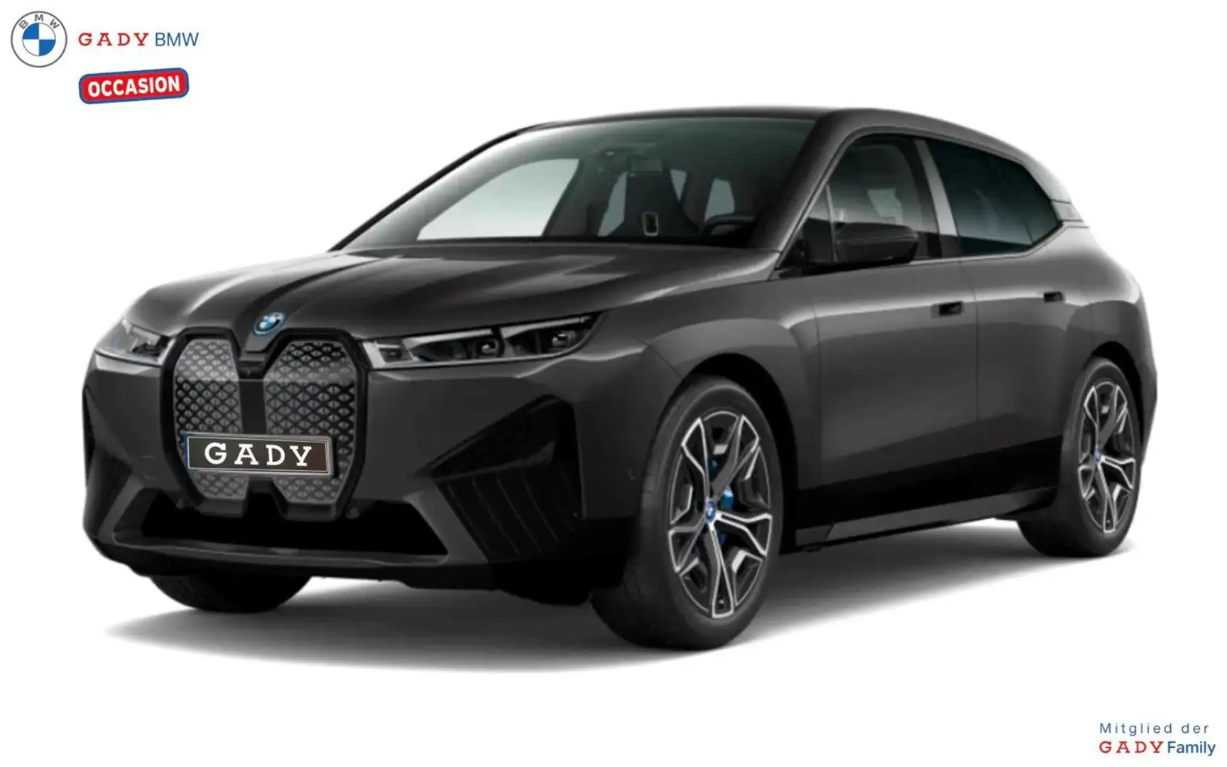 BMW iX xDrive40 Grigio - 1
