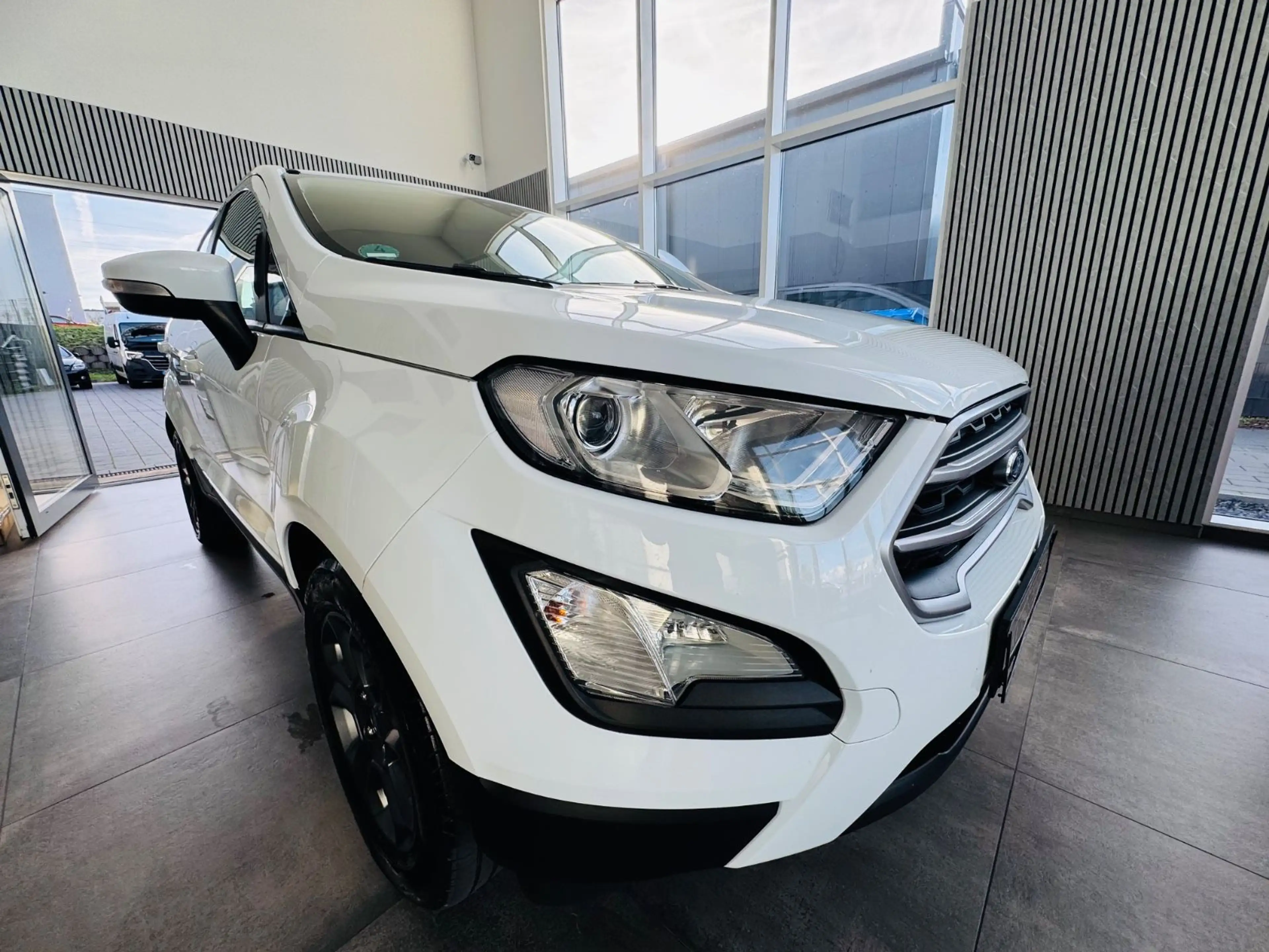 Ford EcoSport Sitzheizung Tempmat PDC — photo 3