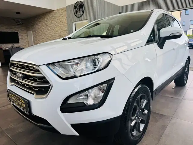Ford EcoSport Sitzheizung Tempmat PDC