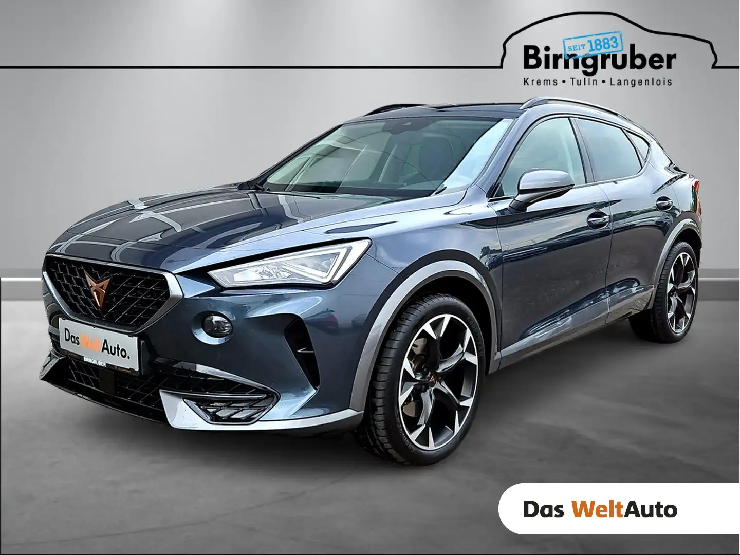 CUPRA Formentor Alpha 1.5 TSI 150 PS ACT Grau - 1