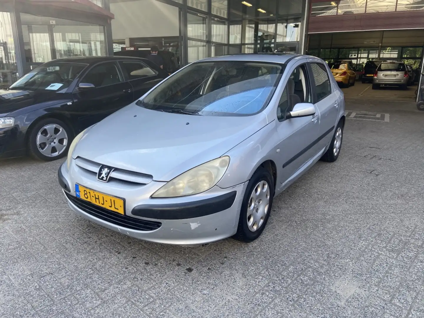 Peugeot 307 1.6-16V XT Grijs - 2