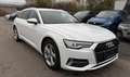 Audi A6 Avant 40 TDI Quattro Matrix ACC Cam AHK Virtu Weiß - thumbnail 4