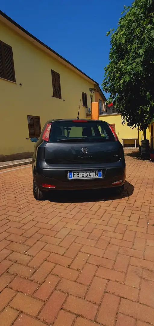 Fiat Punto Evo 5p 1.2 Dynamic 65cv - 2