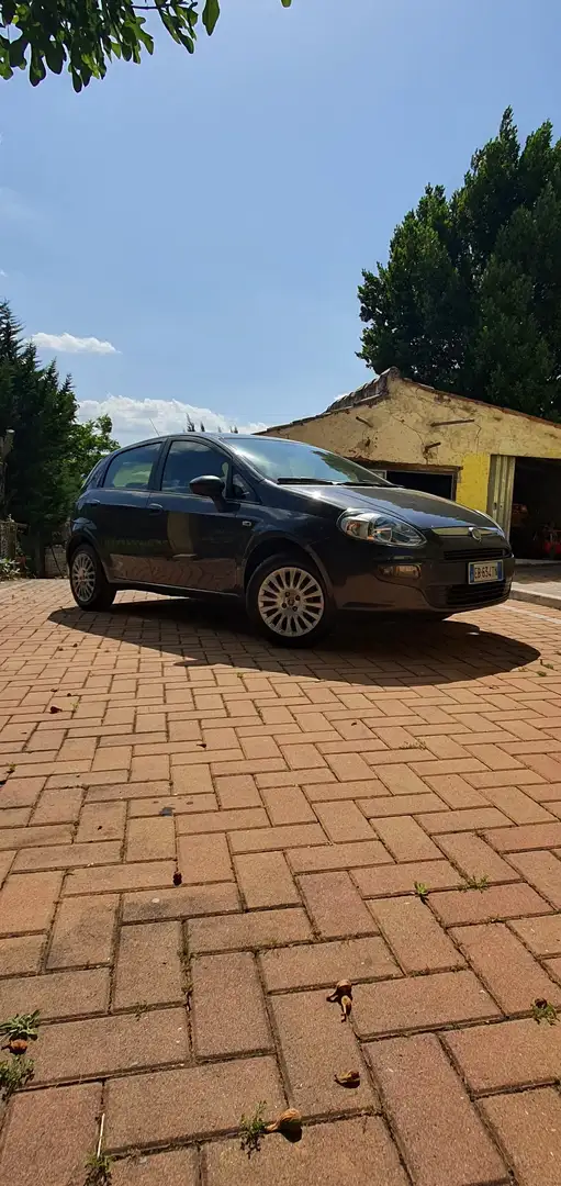 Fiat Punto Evo 5p 1.2 Dynamic 65cv - 1