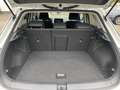 Volkswagen T-Roc Life 1.0 l TSI 6-Gang 2,49 % Sonderzinssatz Weiß - thumbnail 16