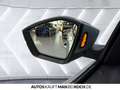 Skoda Octavia Combi 1.5 TSI DSG KAM LED WINTER+ ACC APP Argent - thumbnail 20