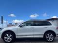 Volkswagen Touareg Touareg 3.0TDI V6 BMT R-Line 193kW Tiptronic R-Line Blanco - thumbnail 4