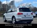 Volkswagen Touareg Touareg 3.0TDI V6 BMT R-Line 193kW Tiptronic R-Line Blanco - thumbnail 3