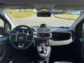 Fiat Panda 4x4CROSS AUTOGEPY SASSUOLO 05361881051 Nero - thumbnail 14