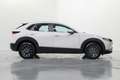 Mazda CX-30 2.5 e-Skyactiv-G Prime Line FWD 103kW Alb - thumbnail 7