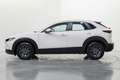 Mazda CX-30 2.5 e-Skyactiv-G Prime Line FWD 103kW Alb - thumbnail 8