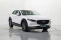 Mazda CX-30 2.5 e-Skyactiv-G Prime Line FWD 103kW Alb - thumbnail 3