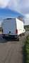 Iveco Daily IVECO 35S14 Wit - thumbnail 2