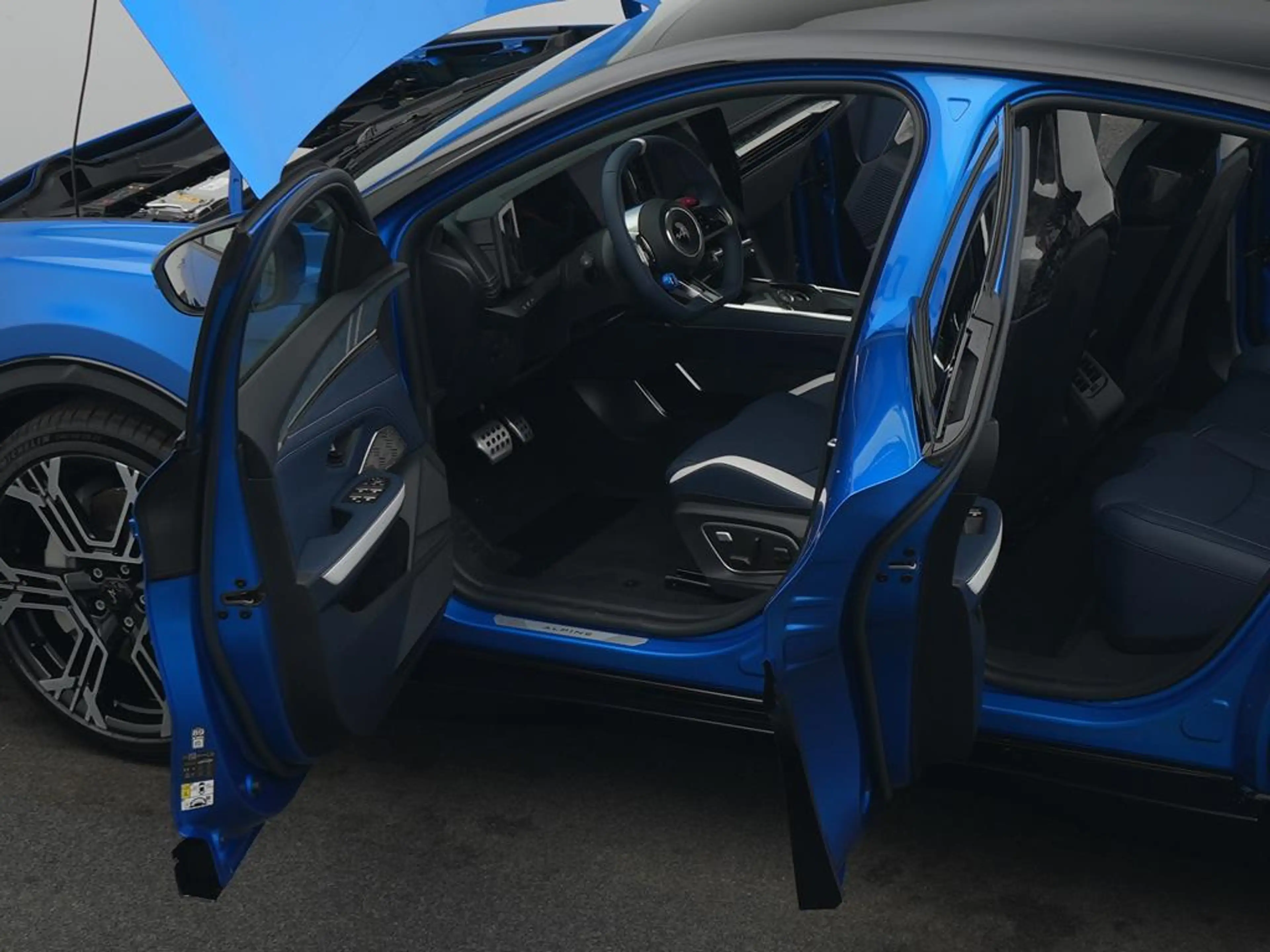 Alpine A390 GTS *BLEKER GRUPPE* — photo 17