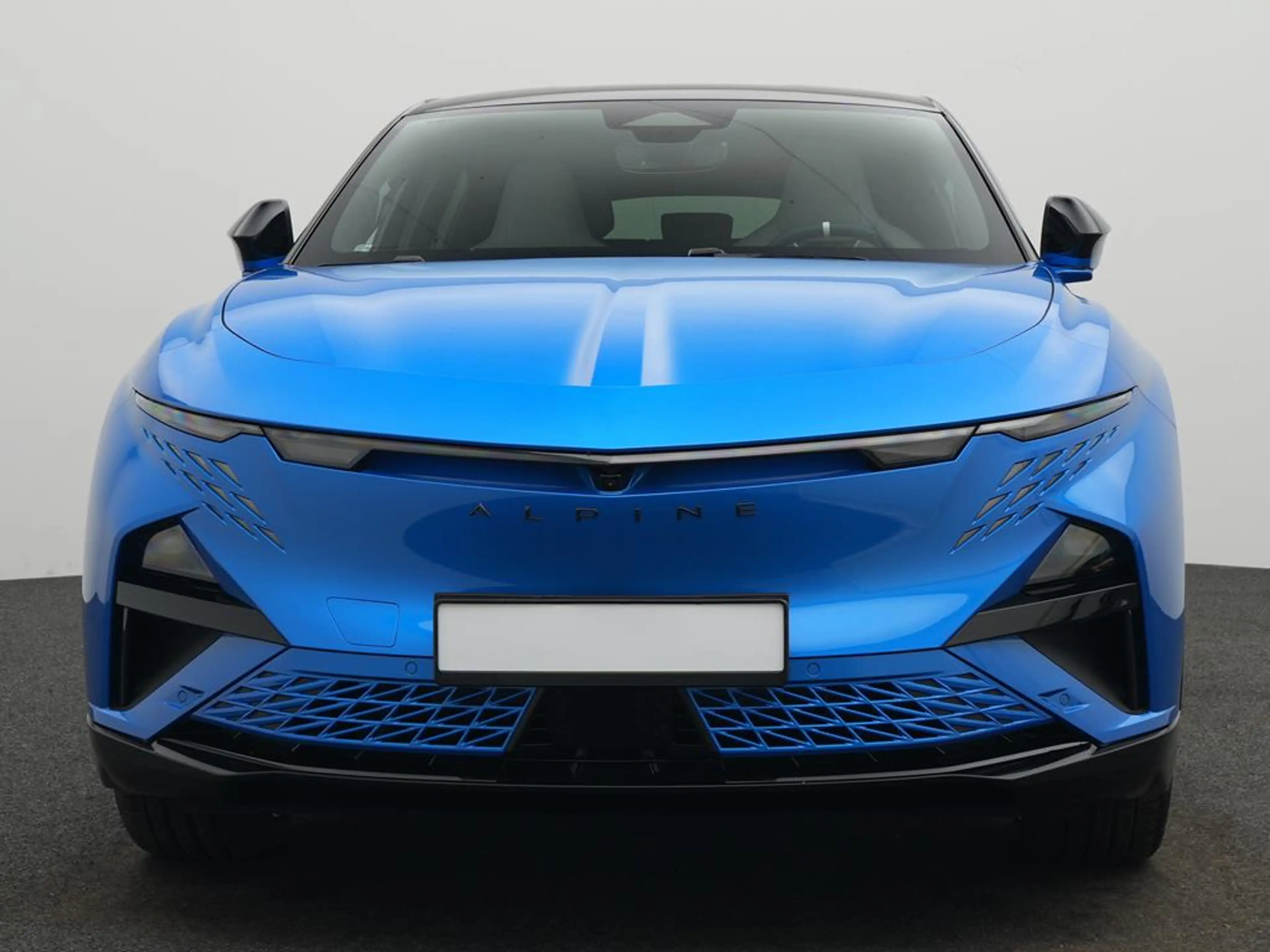 Alpine A390 GTS *BLEKER GRUPPE* — photo 3