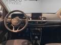 Kia Picanto 1.0 5 porte Urban TT Grigio - thumbnail 11