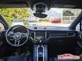 Porsche Macan Macan 2.0 252cv pdk - Sport Design Bianco - thumbnail 15