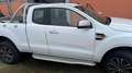 Ford Ranger promisquo Bianco - thumbnail 9