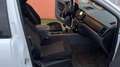 Ford Ranger promisquo Bianco - thumbnail 11