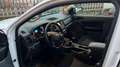 Ford Ranger promisquo Bianco - thumbnail 4