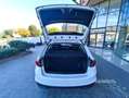 Skoda Fabia 1.0 MPI 80 CV Young Edition Wit - thumbnail 15