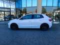 Skoda Fabia 1.0 MPI 80 CV Young Edition Wit - thumbnail 5
