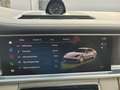 Porsche Panamera 4 Platinum Edition PDK Grün - thumbnail 31