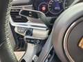 Porsche Panamera 4 Platinum Edition PDK Grün - thumbnail 18