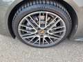 Porsche Panamera 4 Platinum Edition PDK Grün - thumbnail 12