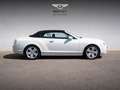 Bentley Continental GTC W12 *Massage, Bluetooth* Bentley Singen Wit - thumbnail 13