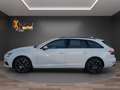 Audi A4 Quattro*2,0 TDI*SZH*LED*AHK* Blanco - thumbnail 2