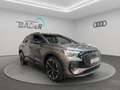 Audi e-tron quattro 210 kW Grau - thumbnail 6