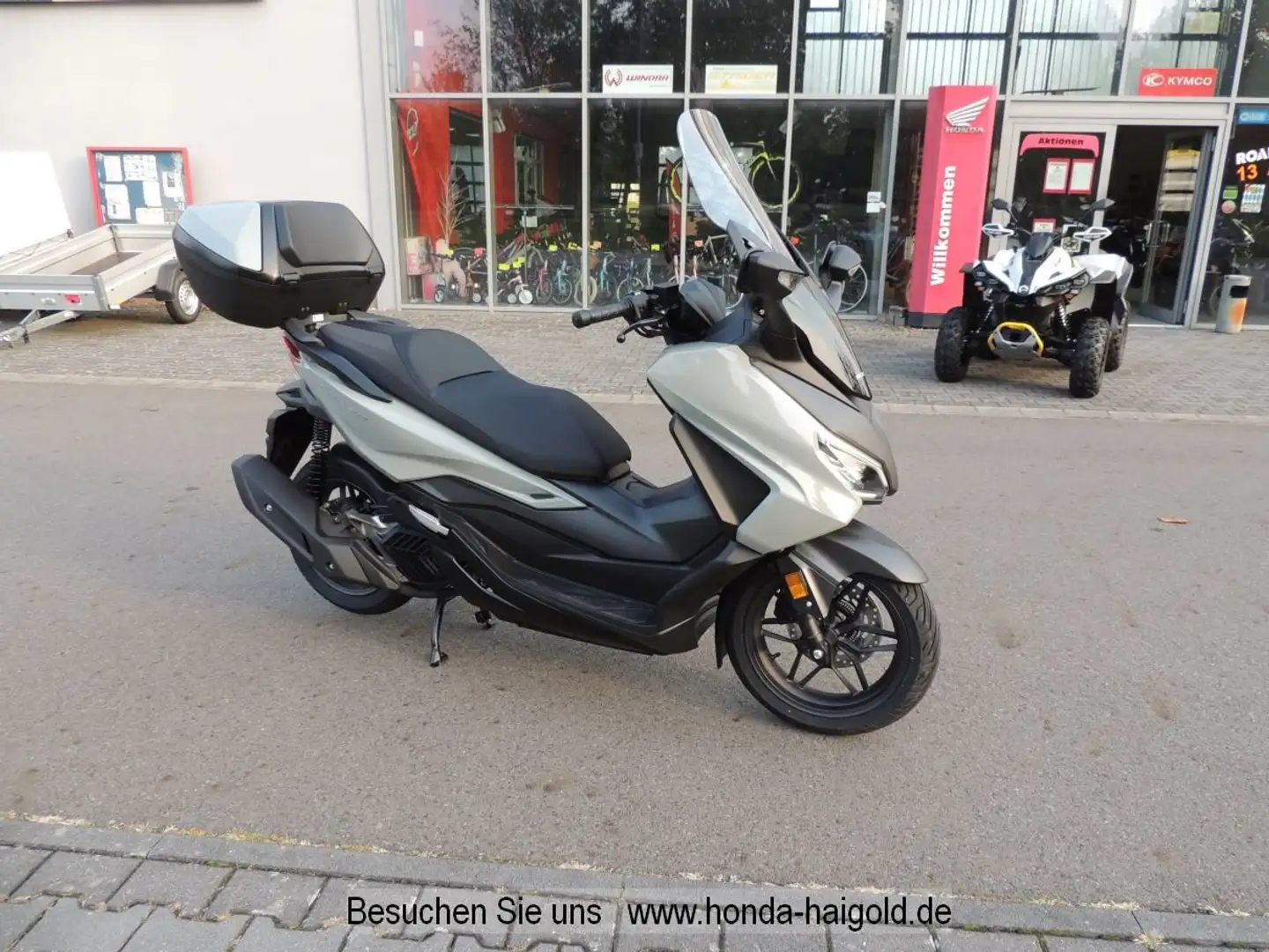 Honda Forza 125 ABS Topcase   Aktion -610€ Mit 6 JH Garantie Grijs - 1